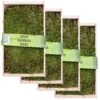 Waldmoos In Der Holzkiste, Ca. 25x13x7 Cm, 4er-Set -Gartenbedarf Verkäufe 2024 0661100072 Waldmoos in Platten in Holzkiste klein 1 81770