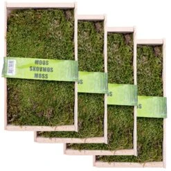 Waldmoos In Der Holzkiste, Ca. 25x13x7 Cm, 4er-Set