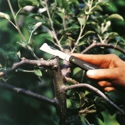 Fiskars Okuliermesser -Gartenbedarf Verkäufe 2024 0920300390 FISKARS Okuliermesser 2 106731