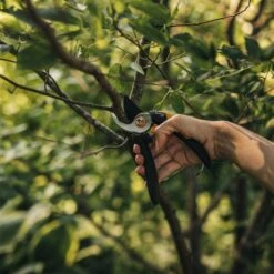 Fiskars Bypass-Schere 'Solid', Schwarz/orange -Gartenbedarf Verkäufe 2024 0920300708 Solid Bypass Gartenschere M 3 106803