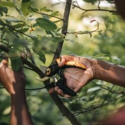 Fiskars Bypass-Schere 'PowerLever', Schwarz/orange -Gartenbedarf Verkäufe 2024 0920300712 PowerLever Bypass Gartenschere 3 106810