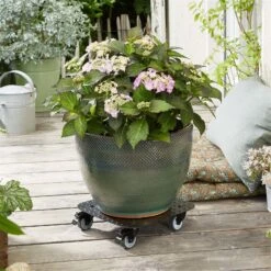 Pflanzenroller 'Alaska', Tragkraft 150 Kg, Anthrazit, Alu, 7 X 29 X 29 Cm -Gartenbedarf Verkäufe 2024 0920600517 pflanzenroller alaska 3 116725