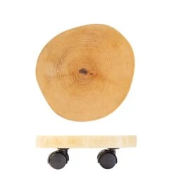 Multi Roller GH0268, Tragkraft 50 Kg, Natur, Ø 25-30 Cm 12 Multi Roller GH0268, Tragkraft 50 Kg, Natur, Ø 25-30 Cm -Gartenbedarf Verkäufe 2024 0920600529 multi roller 5 116765