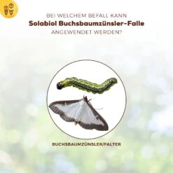 Solabiol Buchsbaumzünsler-Falle, Ausreichend Für Bis Zu 180 M² -Gartenbedarf Verkäufe 2024 0950200723 Buchsbaumzuensler Falle fuer bis zu 180qm Flaeche 1 107232