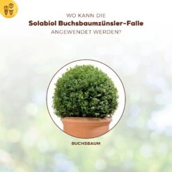 Solabiol Buchsbaumzünsler-Falle, Ausreichend Für Bis Zu 180 M² -Gartenbedarf Verkäufe 2024 0950200723 Buchsbaumzuensler Falle fuer bis zu 180qm Flaeche 4 107233