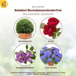 Solabiol Buchsbaumzünsler-Schutz, 50 Ml 7 Solabiol Buchsbaumzünsler-Schutz, 50 Ml -Gartenbedarf Verkäufe 2024 0950200746 Solabiol Buchsbaumzuensler Schaedlingsfrei 50ml 1 107236