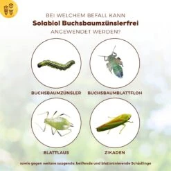 Solabiol Buchsbaumzünsler-Schutz, 50 Ml 8 Solabiol Buchsbaumzünsler-Schutz, 50 Ml -Gartenbedarf Verkäufe 2024 0950200746 Solabiol Buchsbaumzuensler Schaedlingsfrei 50ml 3 107237