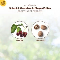 Solabiol Kirschfruchtfliegenfalle, 5er-Pack -Gartenbedarf Verkäufe 2024 0950200760 Solabiol Kirschfruchtfliegenfalle 5Stueck 3 107240
