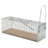 Lebendfalle Für Ratten, Protect Home, 1 Stück -Gartenbedarf Verkäufe 2024 0950200806 Protect Home Lebendfalle Ratte Drahtkaefig product 120547