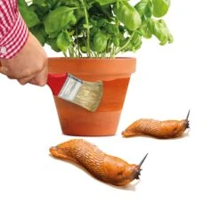 Schnexagon, Anstrich Gegen Schnecken, 375 Ml 7 Schnexagon, Anstrich Gegen Schnecken, 375 Ml -Gartenbedarf Verkäufe 2024 0950300991 Schnexagon 375ml 1 94152