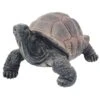 Gartendeko 'Schildkröte', Grau, H18 X L33 X B22 Cm 1 Gartendeko 'Schildkröte', Grau, H18 X L33 X B22 Cm -Gartenbedarf Verkäufe 2024 0980306441 Schildkroete grau klein 123572