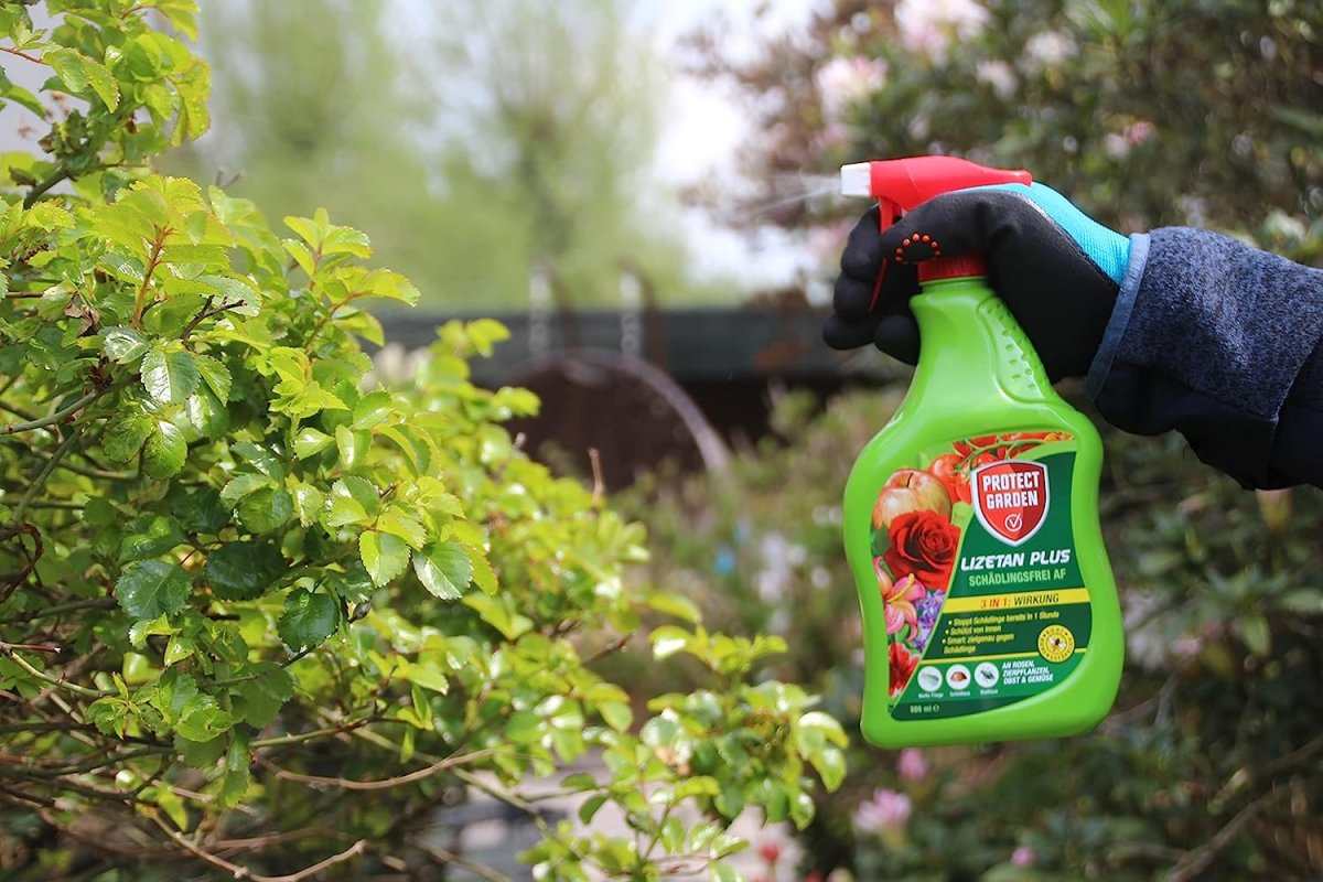 Gartenbedarf Verkäufe 2024 -Gartenbedarf Verkäufe 2024 16023 gf 64902cbbbbc63