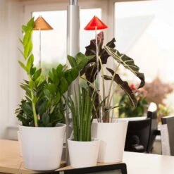 Sunlite Pflanzenlampe Kupfer, 7 Watt -Gartenbedarf Verkäufe 2024 2950200231 Sunlite Pflanzenlampe Kupfer 7W 1 60399