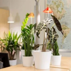 Sunlite Pflanzenlampe Kupfer, 7 Watt -Gartenbedarf Verkäufe 2024 2950200231 Sunlite Pflanzenlampe Kupfer 7W 4 60396