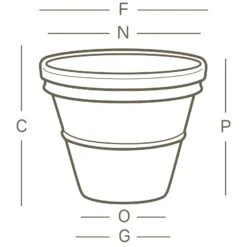 Pflanzkübel Doppio Bordo Terra, Ø 35 X H 32 Cm -Gartenbedarf Verkäufe 2024 3210100272 Pflanzkuebel Doppio Bordo technische Zeichnung 111247 1