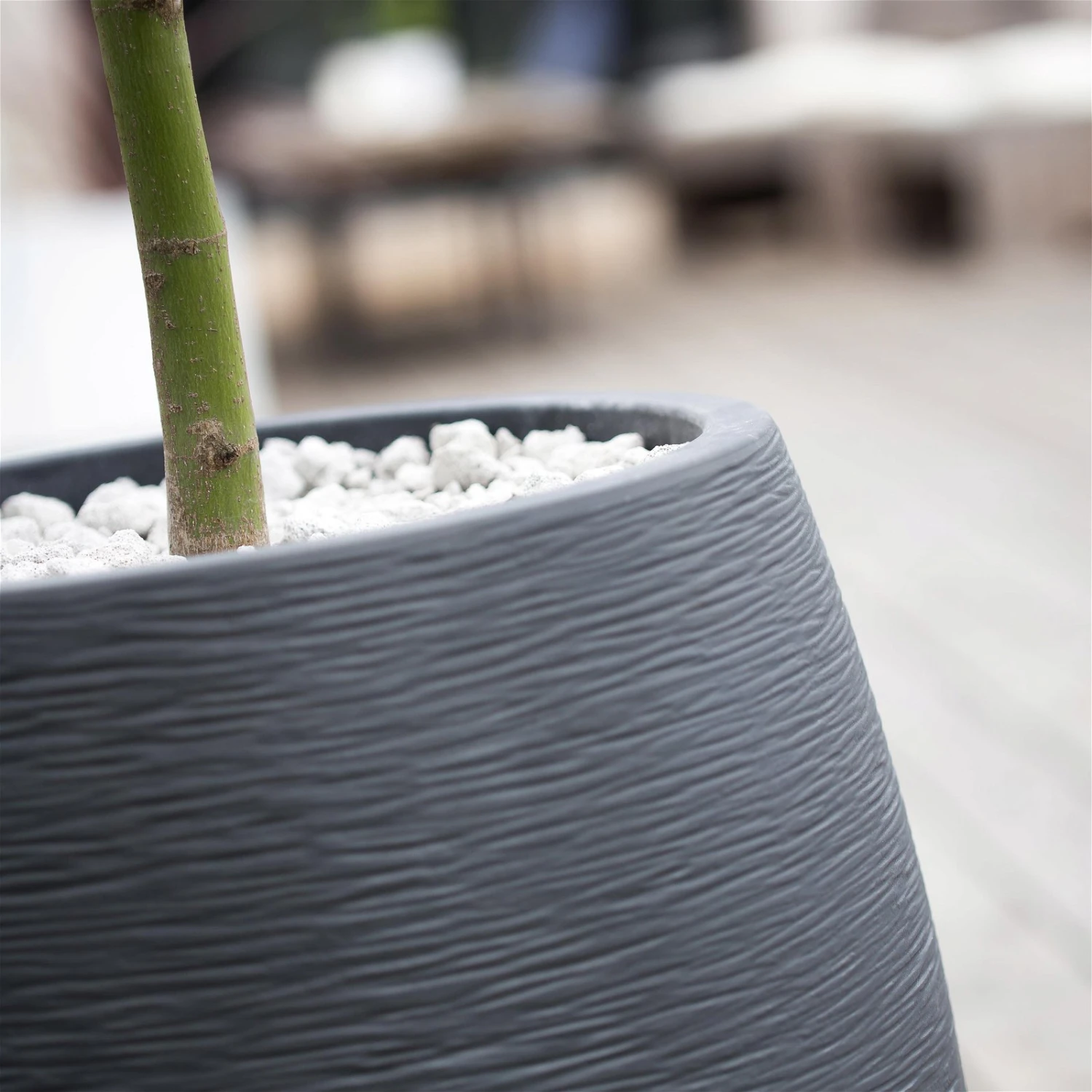 Pflanzgefäß Graphit Egg, Anthrazit, Wasserdicht, Robust 7 Pflanzgefäß Graphit Egg, Anthrazit, Wasserdicht, Robust – Bild 5