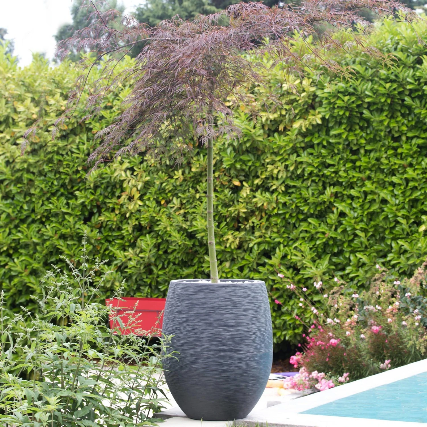 Pflanzgefäß Graphit Egg, Anthrazit, Wasserdicht, Robust 4 Pflanzgefäß Graphit Egg, Anthrazit, Wasserdicht, Robust – Bild 2