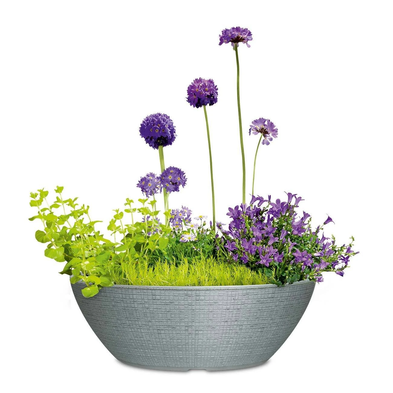 Pflanzschale Barceo, Steingrau, Ø 39 X H18 Cm 3 Pflanzschale Barceo, Steingrau, Ø 39 X H18 Cm