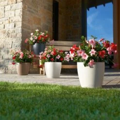 LECHUZA Pflanzgefäß 'Classico Color 70', Weiß, Ø 70 X H 64,5 Cm -Gartenbedarf Verkäufe 2024 3210103918 Pflanzgefaess Classico Color 60 All in 1 weiss 3 109195