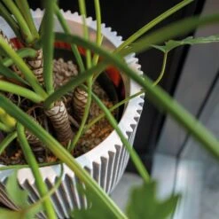 Pflanzgefäß 'Groove', Elfenbein, Ø 35 X H 34 Cm -Gartenbedarf Verkäufe 2024 3210104106 3210104107 3210104108 pflanzgefaess pflanzvase groove 116896