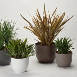 Pflanzkübel 'Rio', Weiß, Ø 39 X H 32,5 Cm -Gartenbedarf Verkäufe 2024 3210104130 3210104131 3210104132 3210104133 pflanzkuebel rio 122622 2