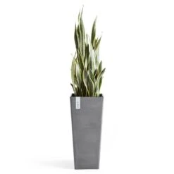 Pflanzgefäß 'Rotterdam MidHigh', Grau -Gartenbedarf Verkäufe 2024 3210104153 pflanzgefaess rotterdam high 3 117469