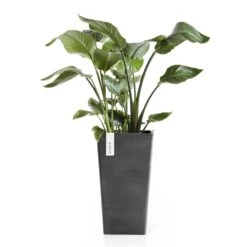 Pflanzgefäß 'Rotterdam MidHigh', Dunkelgrau, Ø 31 X H 56 Cm -Gartenbedarf Verkäufe 2024 3210104154 pflanzgefaess rotterdam midhigh 2 117472