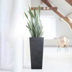 Pflanzgefäß 'Rotterdam MidHigh', Dunkelgrau -Gartenbedarf Verkäufe 2024 3210104155 pflanzgefaess rotterdam high 3 117475