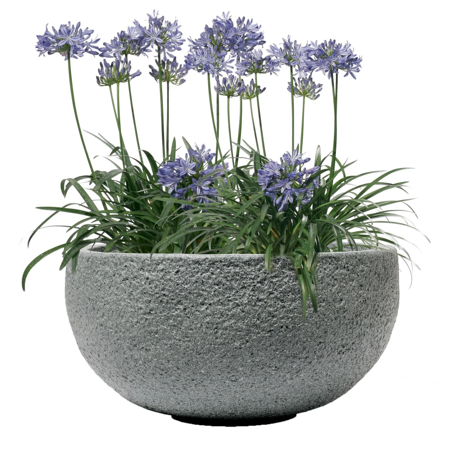 Pflanzschale Rock Line Banham, Granitgrau, Glasfaserverstärkter Kunststoff 3 Pflanzschale Rock Line Banham, Granitgrau, Glasfaserverstärkter Kunststoff