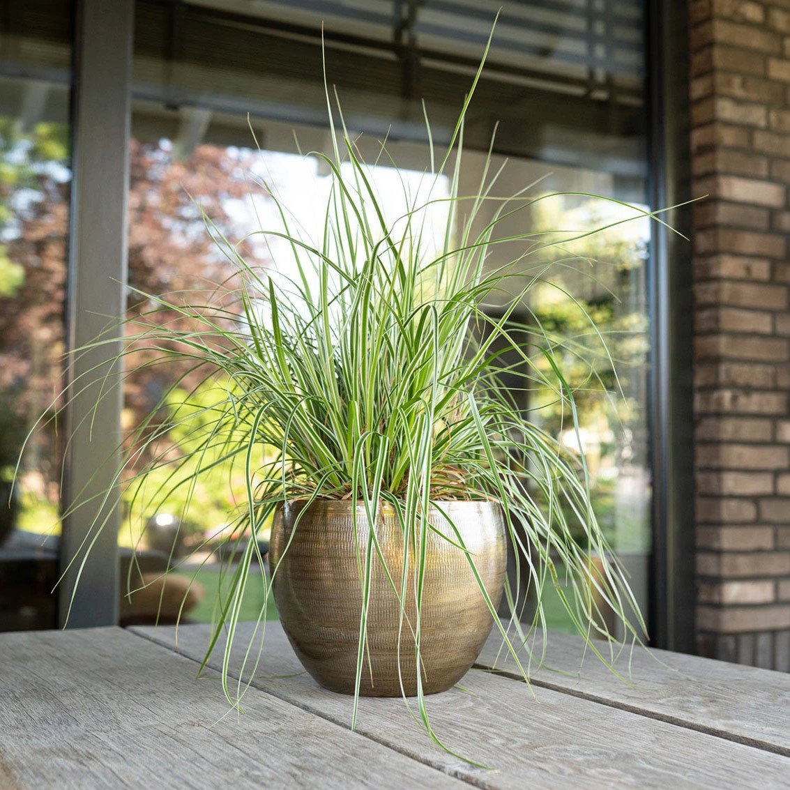 Pflanzgefäß 'Rowen', Gold, Ø 19 X H 13 Cm 3 Pflanzgefäß 'Rowen', Gold, Ø 19 X H 13 Cm