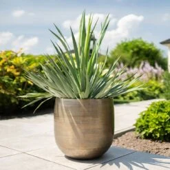 Pflanzgefäß 'Rowen', Gold, Ø 42 X H 41 Cm -Gartenbedarf Verkäufe 2024 3210801622 Pflanzgefaess Rowen gold D 42 x H 41 cm 1 114988