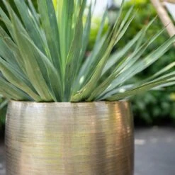 Pflanzgefäß 'Rowen', Gold, Ø 42 X H 41 Cm -Gartenbedarf Verkäufe 2024 3210801622 Pflanzgefaess Rowen gold D 42 x H 41 cm 2 114989