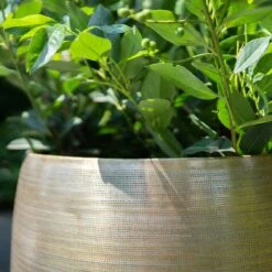 Pflanzgefäß 'Rowen', Gold, Ø 50 X H 47 Cm -Gartenbedarf Verkäufe 2024 3210801623 Pflanzgefaess Rowen gold D 50 x H 47 cm 2 114994