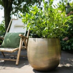 Pflanzgefäß 'Rowen', Gold, Ø 50 X H 47 Cm -Gartenbedarf Verkäufe 2024 3210801623 Pflanzgefaess Rowen gold D 50 x H 47 cm 4 114996