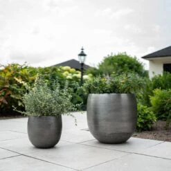 Pflanzgefäß 'Rowen', Silber, Ø 42 X H 41 Cm -Gartenbedarf Verkäufe 2024 3210801625 3210801626 3210801627 3210801628 Pflanzgefaess Rowen silber 1 114998 2