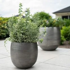 Pflanzgefäß 'Rowen', Silber, Ø 38 X H 30 Cm -Gartenbedarf Verkäufe 2024 3210801625 3210801626 3210801627 3210801628 Pflanzgefaess Rowen silber 2 114999