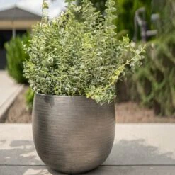 Pflanzgefäß 'Rowen', Silber, Ø 50 X H 47 Cm -Gartenbedarf Verkäufe 2024 3210801625 3210801626 3210801627 3210801628 Pflanzgefaess Rowen silber 8 115004 1