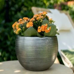 Pflanzgefäß 'Rowen', Silber, Ø 31 X H 28 Cm 11 Pflanzgefäß 'Rowen', Silber, Ø 31 X H 28 Cm -Gartenbedarf Verkäufe 2024 3210801625 Pflanzgefaess Rowen silber D 31 x H 28 cm 1 115006