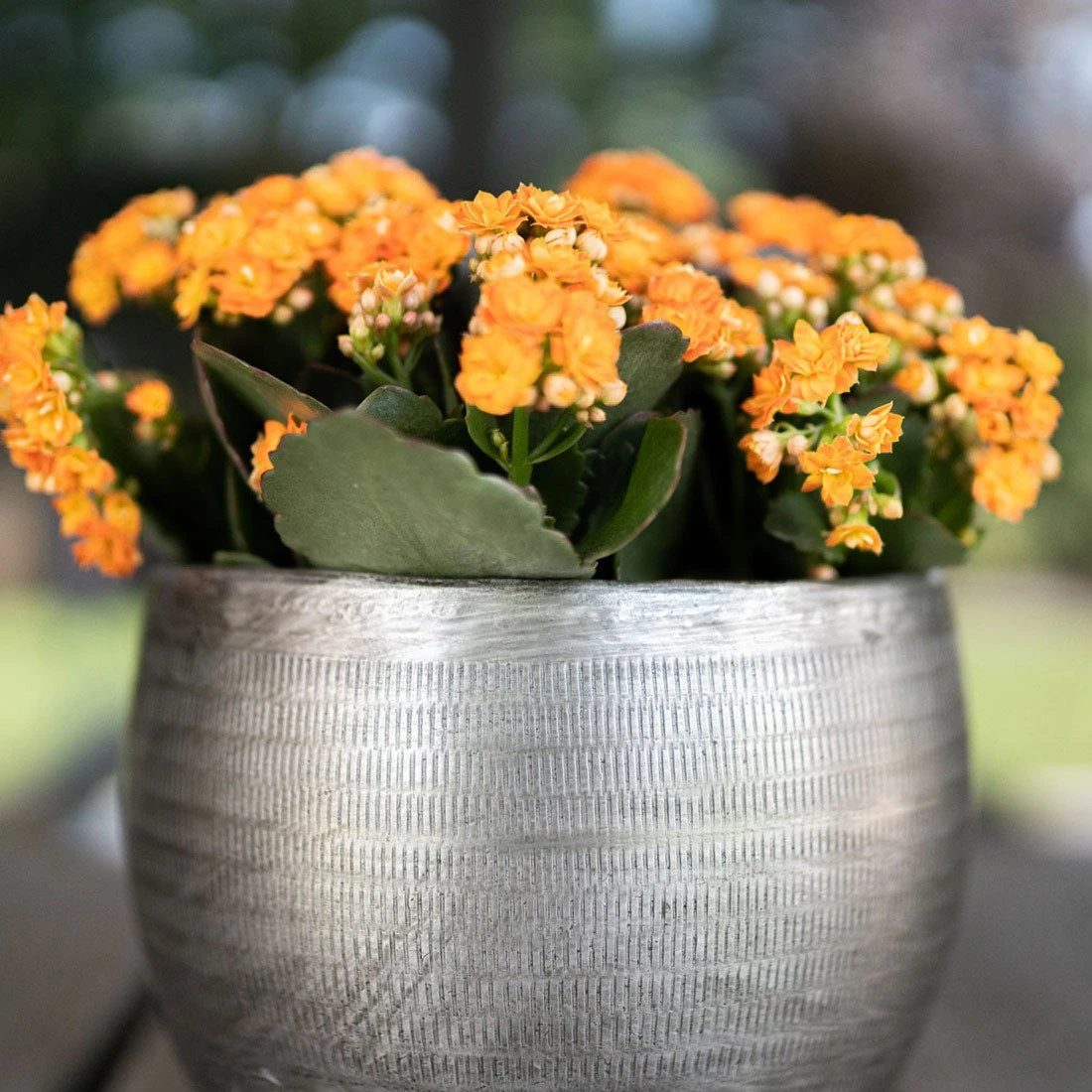 Pflanzgefäß 'Rowen', Silber, Ø 31 X H 28 Cm 7 Pflanzgefäß 'Rowen', Silber, Ø 31 X H 28 Cm – Bild 5