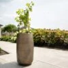 Pflanzgefäß 'Rowen', Gold, Ø 31 X H 55 Cm -Gartenbedarf Verkäufe 2024 3210801630 3210801631 3210801632 3210801633 Pflanzgefaess Rowen gold 1 115014 2