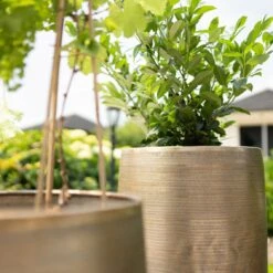 Pflanzgefäß 'Rowen', Gold, Ø 41 X H 72 Cm -Gartenbedarf Verkäufe 2024 3210801630 3210801631 3210801632 3210801633 Pflanzgefaess Rowen gold 2 115015 1