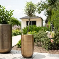 Pflanzgefäß 'Rowen', Gold, Ø 31 X H 55 Cm -Gartenbedarf Verkäufe 2024 3210801630 3210801631 3210801632 3210801633 Pflanzgefaess Rowen gold 4 115017 2