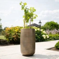 Pflanzgefäß 'Rowen', Gold, Ø 31 X H 55 Cm -Gartenbedarf Verkäufe 2024 3210801630 3210801631 3210801632 3210801633 Pflanzgefaess Rowen gold 5 115018 2