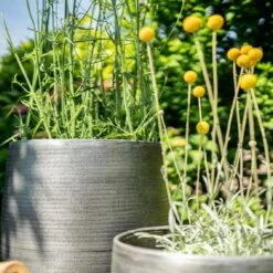 Pflanzgefäß 'Rowen', Silber, Ø 38 X H 62 Cm -Gartenbedarf Verkäufe 2024 3210801635 3210801636 3210801637 3210801638 Pflanzgefaess Rowen silber 12 115029 1