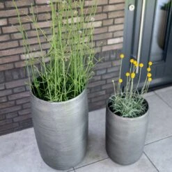 Pflanzgefäß 'Rowen', Silber, Ø 38 X H 62 Cm -Gartenbedarf Verkäufe 2024 3210801635 3210801636 3210801637 3210801638 Pflanzgefaess Rowen silber 6 115025 1
