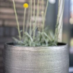 Pflanzgefäß 'Rowen', Silber, Ø 41 X H 72 Cm -Gartenbedarf Verkäufe 2024 3210801635 3210801636 3210801637 3210801638 Pflanzgefaess Rowen silber 7 115026 2