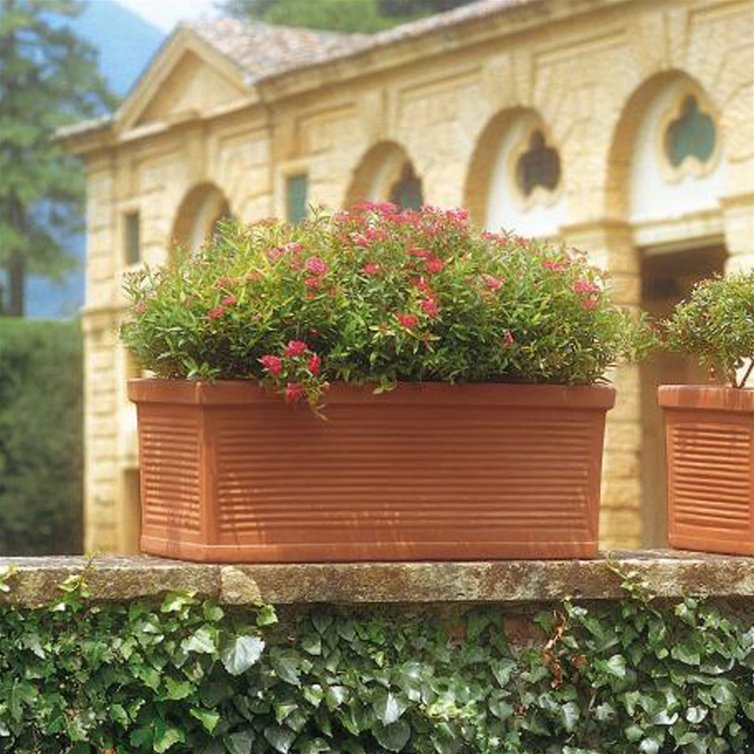 Euro 3 Plast Pflanzkasten "Millerighe" Terra, 60 Cm, Erdvol. 29 L 3 Euro 3 Plast Pflanzkasten "Millerighe" Terra, 60 Cm, Erdvol. 29 L