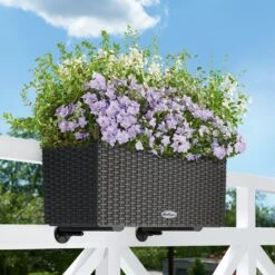 LECHUZA Balconera Cottage, Granit, 50 X 19 X 19 Cm 12 LECHUZA Balconera Cottage, Granit, 50 X 19 X 19 Cm -Gartenbedarf Verkäufe 2024 3230100593 Balconera Cottage50 50x19x19cm granit Pflanzvol 8Ltr 2 17868