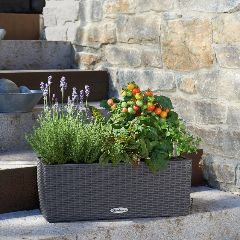 LECHUZA Balconera Cottage, Granit, 50 X 19 X 19 Cm 3 LECHUZA Balconera Cottage, Granit, 50 X 19 X 19 Cm