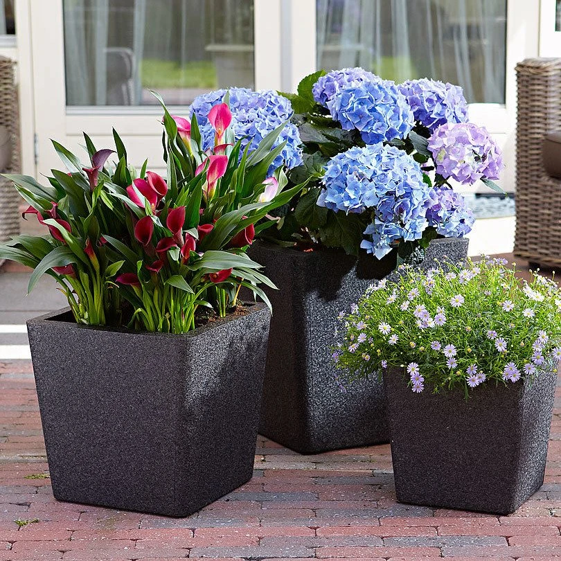 Pflanztrog IQ Dutch Aria, Schwarz, L 25 X B 25 X H 25 Cm 3 Pflanztrog IQ Dutch Aria, Schwarz, L 25 X B 25 X H 25 Cm